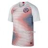 Maillot Foot Homme Chili Extérieur Copa América 2019 Maillot Foot Homme Chili Extérieur Copa América 2019